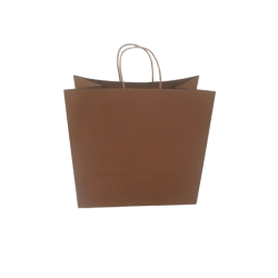 25 brown paper bags