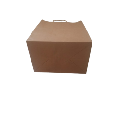 25 brown paper bags