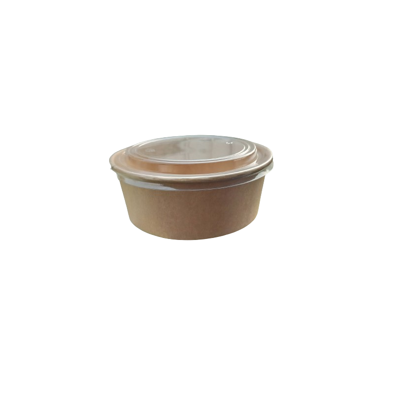 paper bowl 24 paper bowl 24