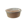 زيدية ورقية 24
