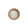 زيدية ورقية 24
